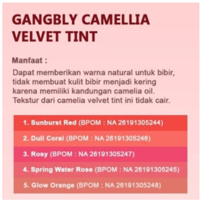 GANGBLY CAMELIA VELVET TINT GLOSSY LIP NUTRITION ORIGINAL PRODUK KOREA(1PC) - LVS SHOP