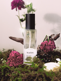 CELLUVER - Chiffon Perfume Korea Wangi Tahan Lama (80ml) LVS Shop