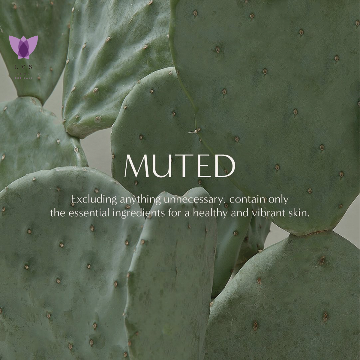 MUTED Cactus Serum (50ml)