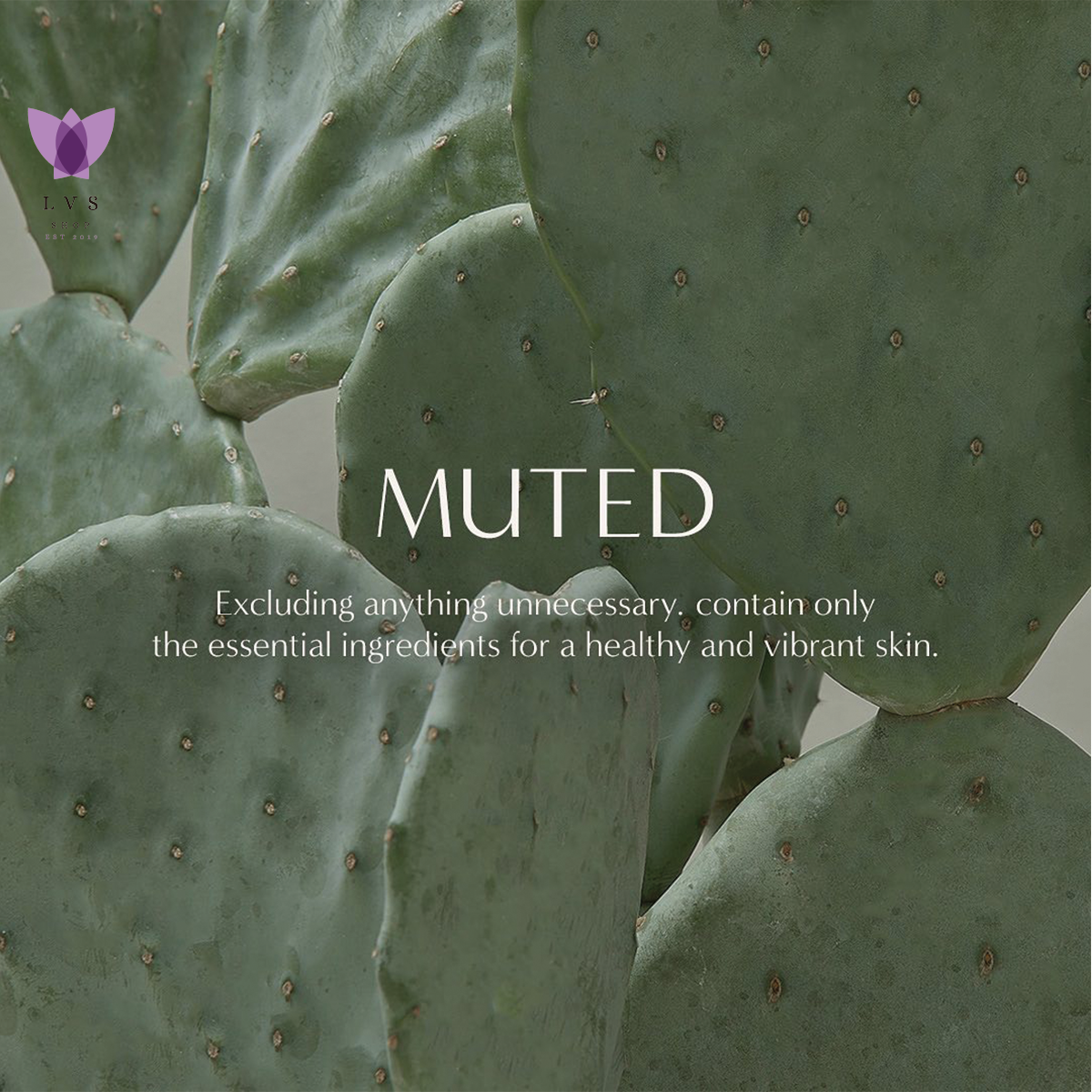 MUTED Cactus Serum (50ml) – LVS SHOP OFFICIAL